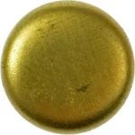 Dorman 565-016 Brass Cup Expansion Plug 15/16 In., Height 0.380. Fixed Price $36.15.