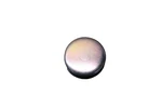 New Oem Ford F4bz-6026-d Engine Core Expansion Plug Nos. Fixed Price $16.99.