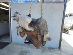 87-91 Sohc K-jetronic Vw Fox Volkswagen Engine Original Less Then 80k Miles. Fixed Price $999.99.