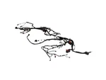 Genuine Mopar Engine Wiring 68537360ab. Fixed Price $567.10.