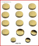 Engine Expansion Plug Kit Enginetech, Inc. Pk817b. Fixed Price $52.99.