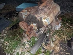 Mercury Cougar Ford Mustang 302 V8 5.0l 2 Barrel Engine. Fixed Price $850.00.