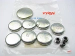 Trw Bp-129x Freeze Expansion Plug Set - Ford 171 2.8l V6 Engine. Fixed Price $11.66.
