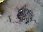 Volvo Penta 5.0 Gxi Engine Wiring Harness. Fixed Price $149.99.