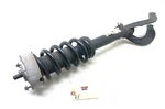 2014-2019 Bmw X6 F16 Awd Right Passenger Front Spring Strut Shock Oem.. Fixed Price $167.99.