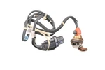 New Oem Ford E43z-6d008-a Cylinder Block Heater Element Assembly Kit Nos. Fixed Price $15.17.